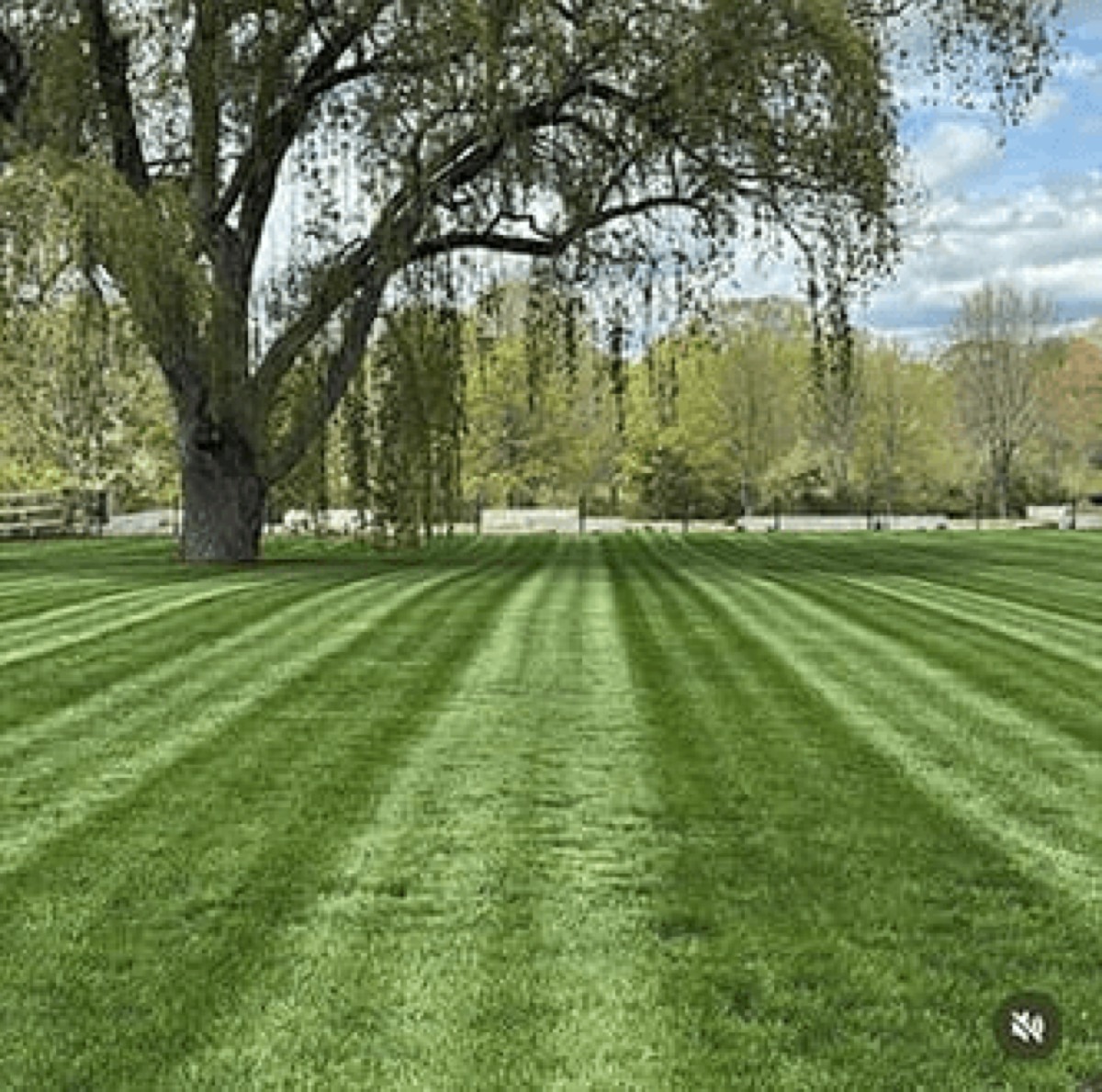A PROTURF lawn near Plymouth, MA