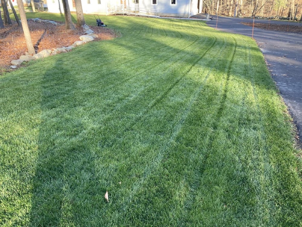 A PROTURF lawn near Duxbury, MA
