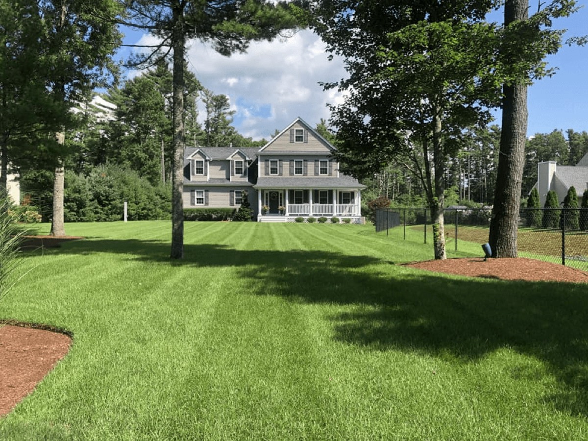 PROTURF lawn transformation