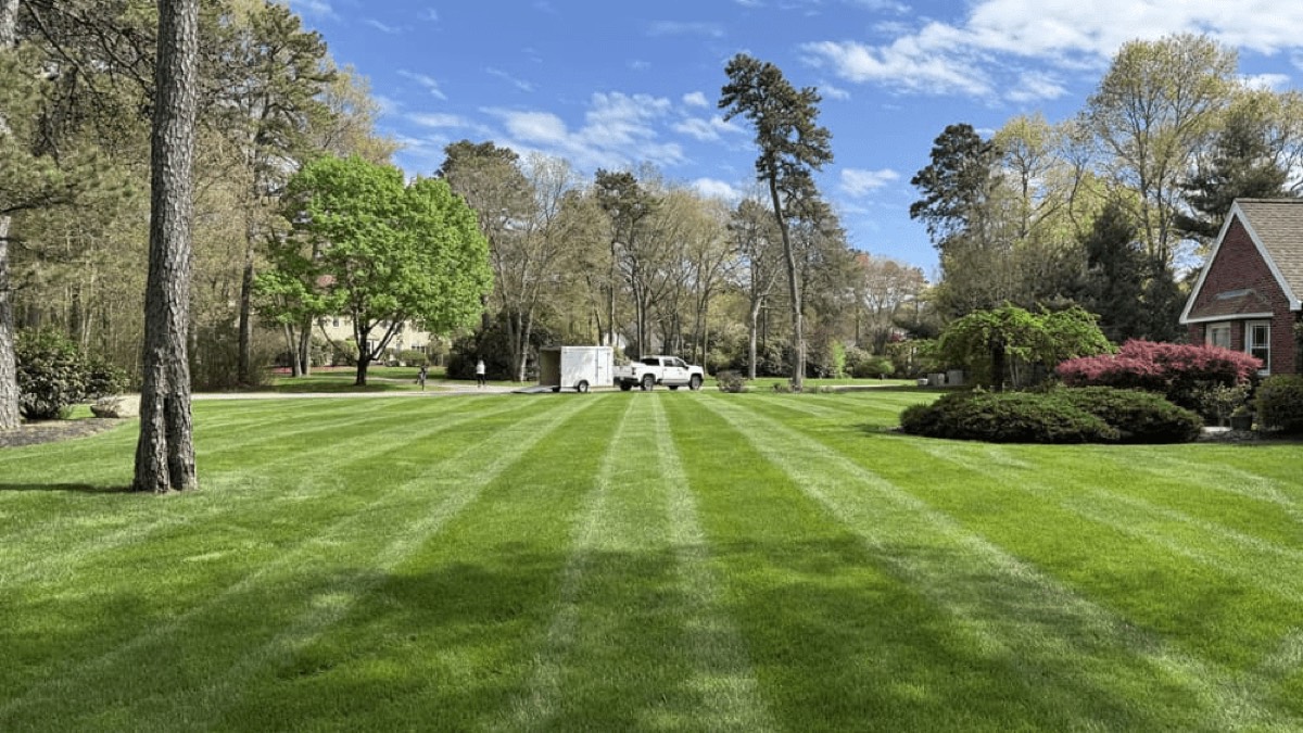 PROTURF lawn transformation