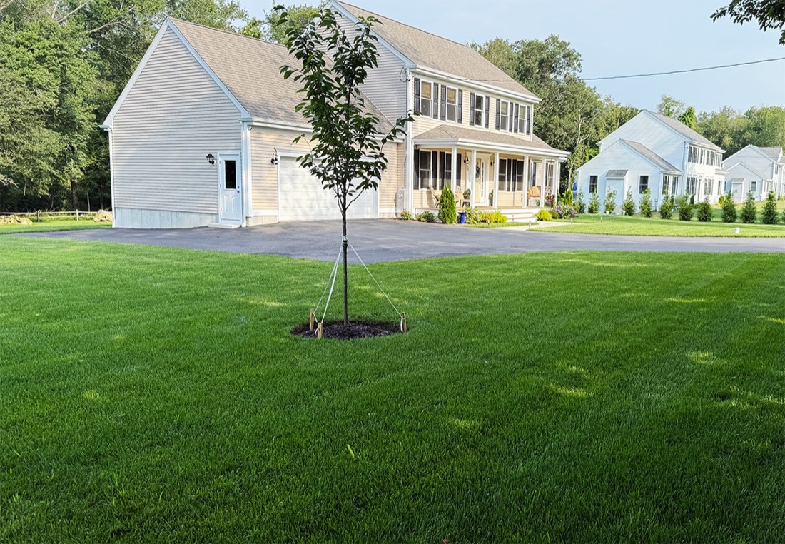 Lawn Aeration