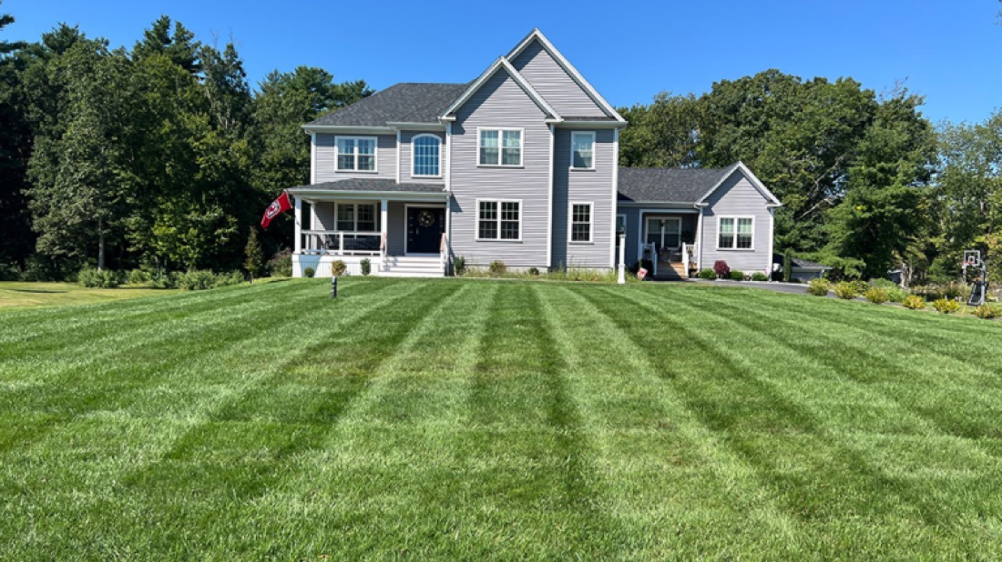New Lawn Installs
